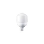 Philips 929002409908 65W Torch Ampul 6500K E40 Duylu - Görsel 2