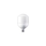 Philips 929002409908 65W Torch Ampul 6500K E40 Duylu
